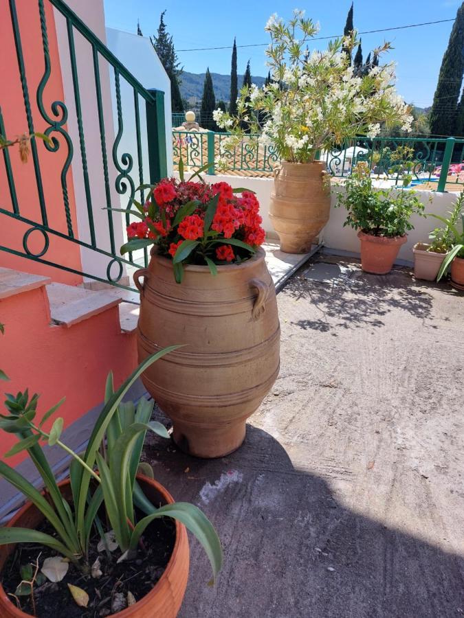 Maria Studios Палеокастріца Екстер'єр фото